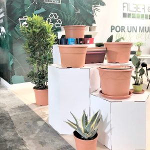 Stand de cartón Poligonal (Alber)