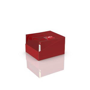 Expositor de cartón con caja automontable