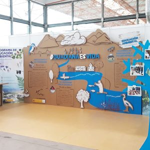 Stand de cartón reciclado