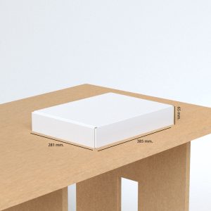 Caja de cartón para ecommerce 38 x 28 x 6,5 cm.
