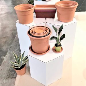 Stand de cartón Poligonal (Alber)